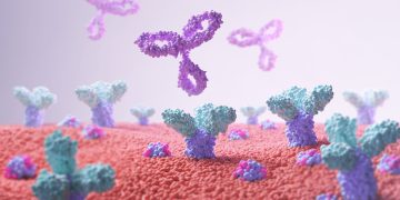 3D illustration of an antibody attacking a cancer cell or bacterium