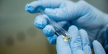 Photo with lab worker's hands holding medical test tube vial